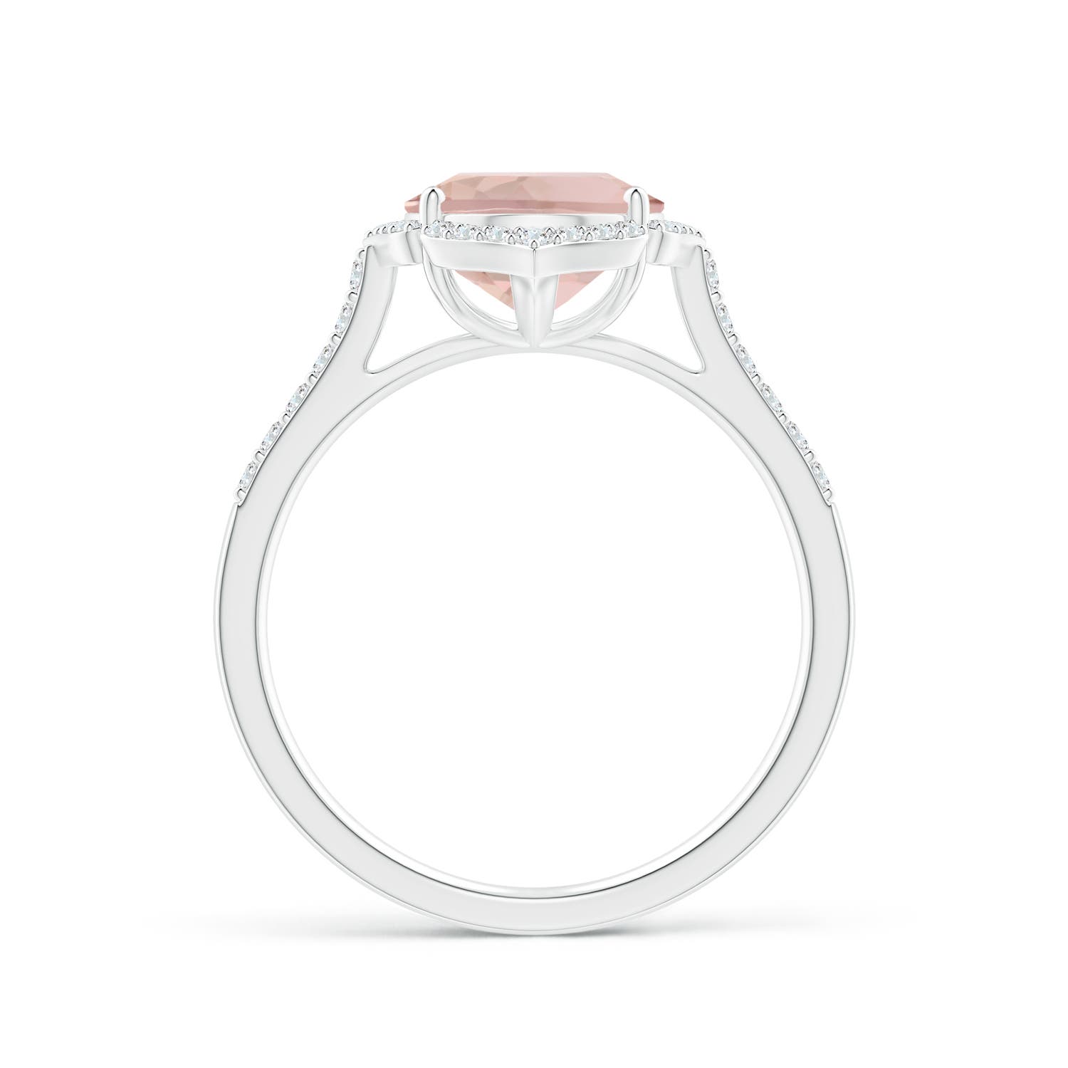 AA - Morganite / 2.71 CT / 14 KT White Gold