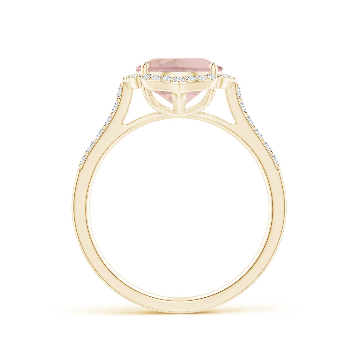 AA - Morganite / 2.71 CT / 14 KT Yellow Gold