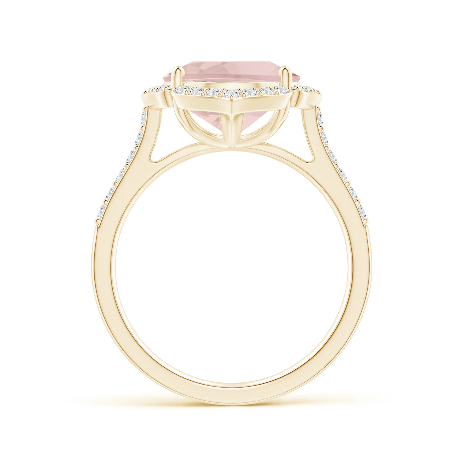 A - Morganite / 4.94 CT / 14 KT Yellow Gold