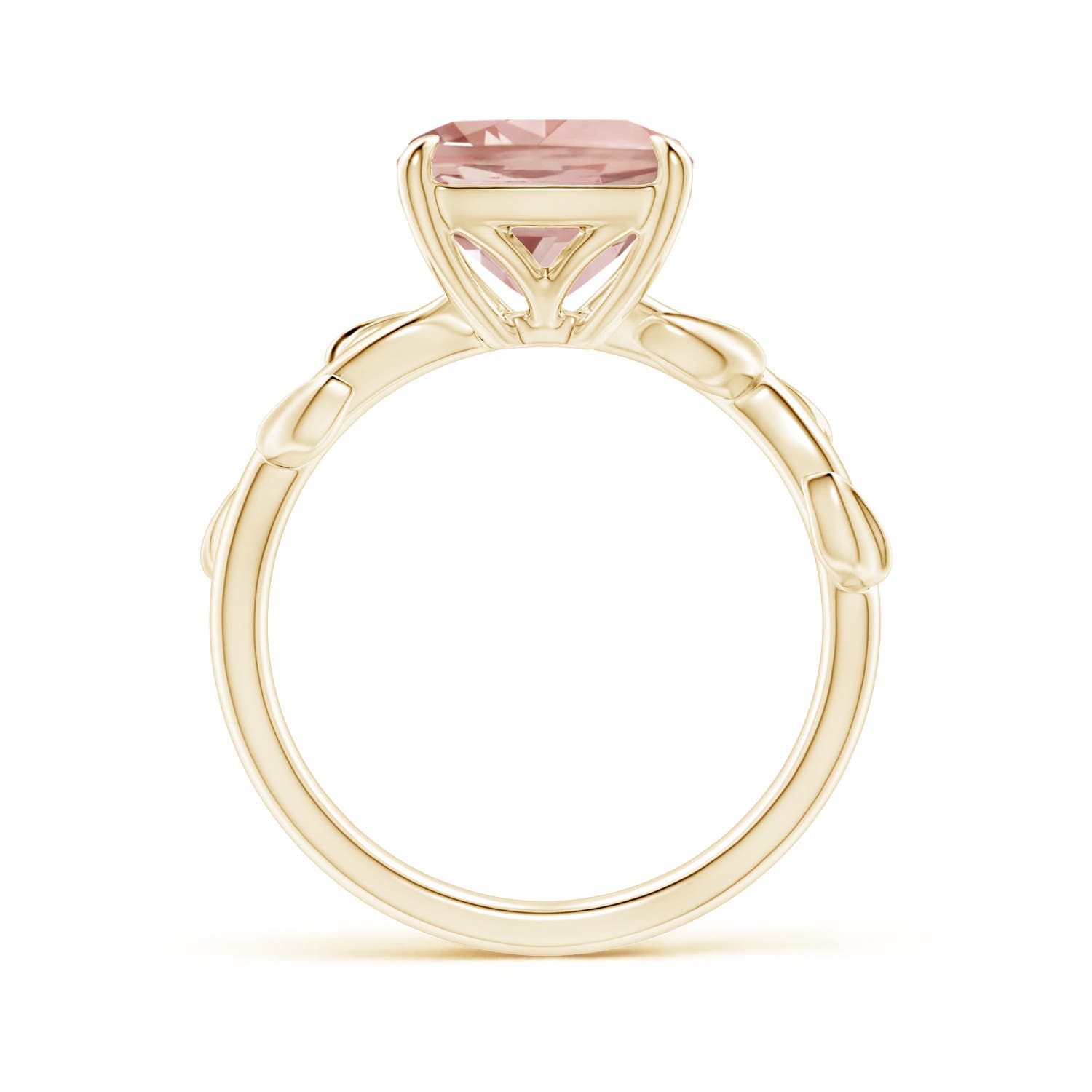 AAA - Morganite / 2.7 CT / 14 KT Yellow Gold