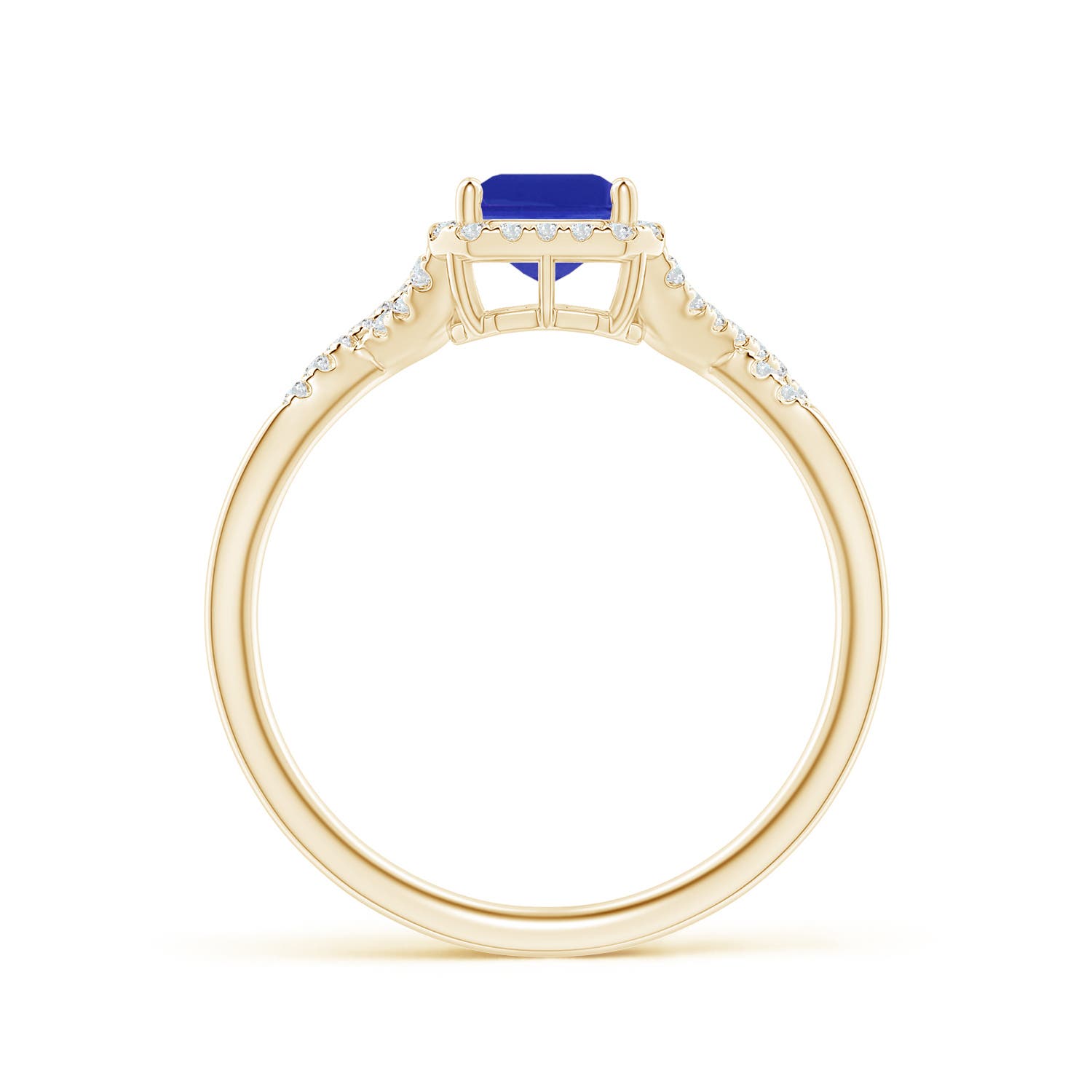 AAAA - Tanzanite / 1.17 CT / 14 KT Yellow Gold