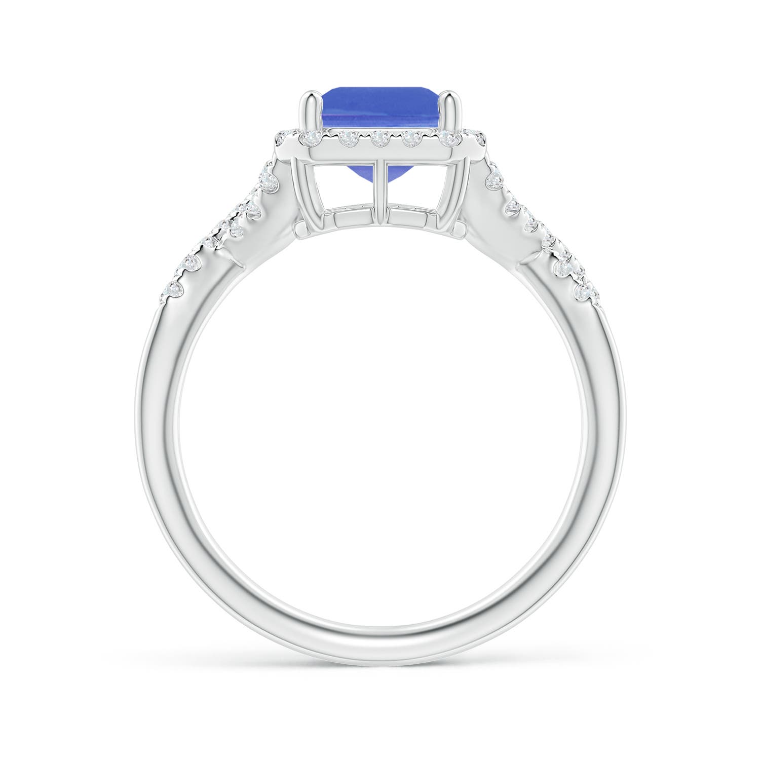 AA - Tanzanite / 2.78 CT / 14 KT White Gold