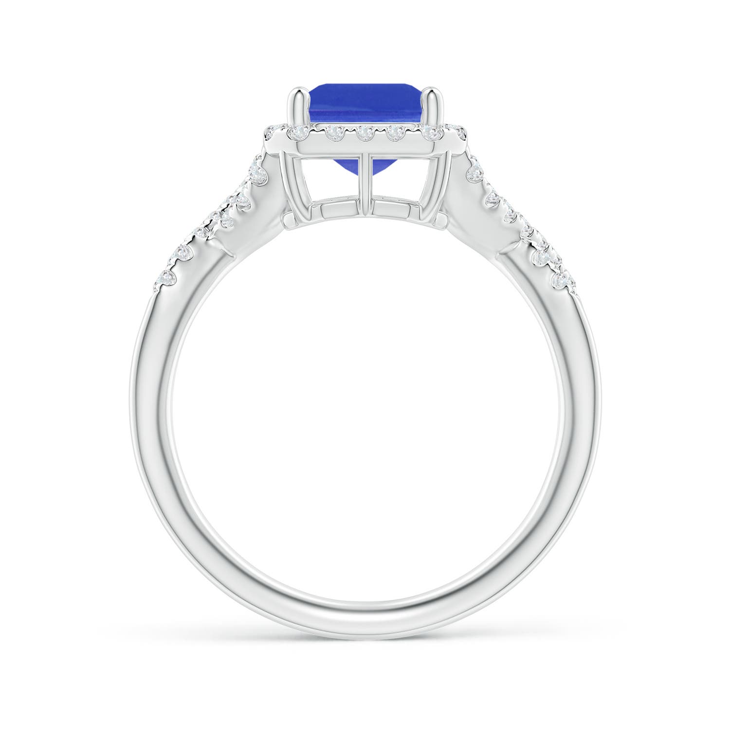 AAA - Tanzanite / 2.78 CT / 14 KT White Gold