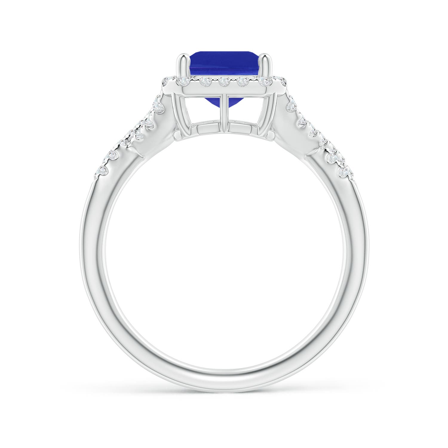 AAAA - Tanzanite / 2.78 CT / 14 KT White Gold