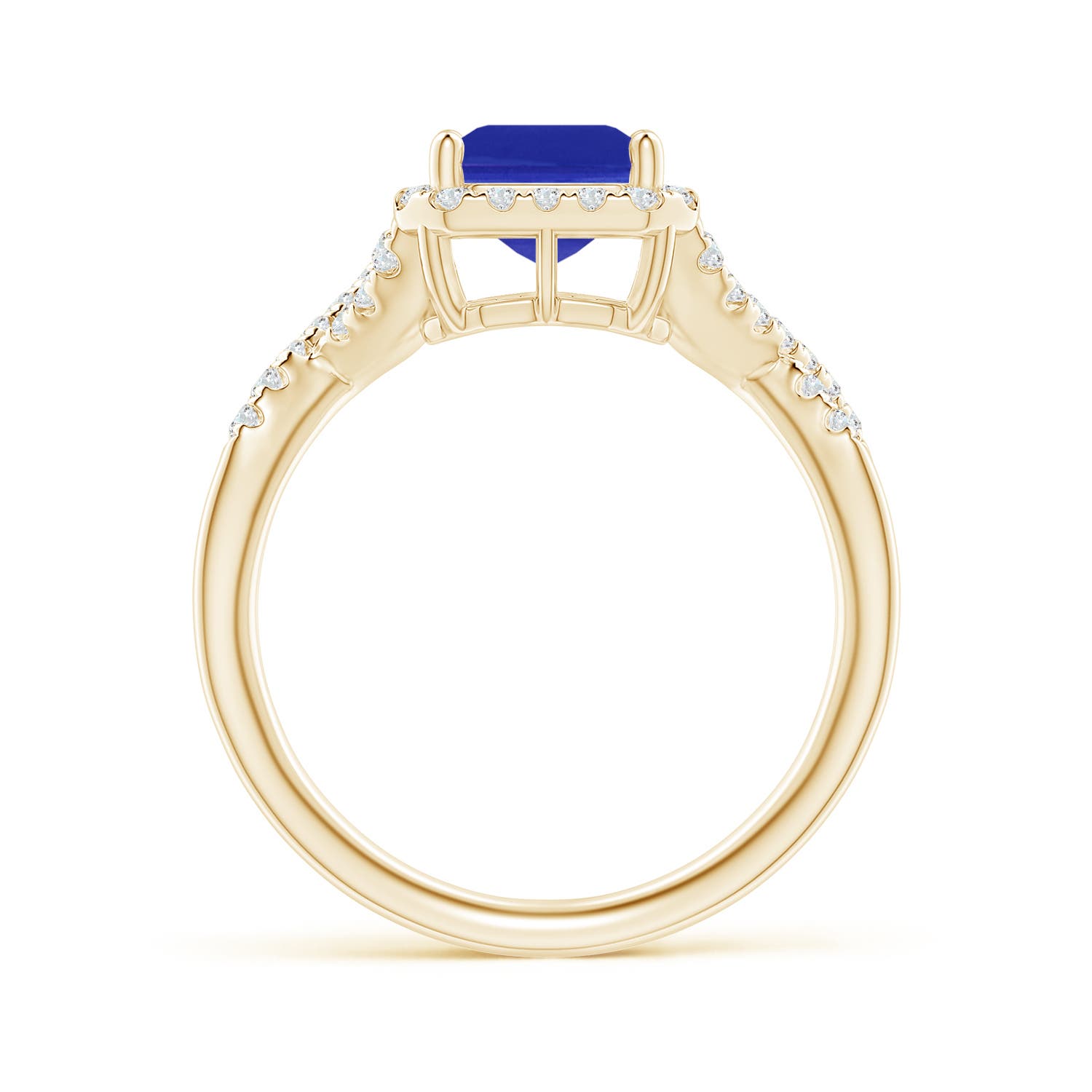 AAAA - Tanzanite / 2.78 CT / 14 KT Yellow Gold