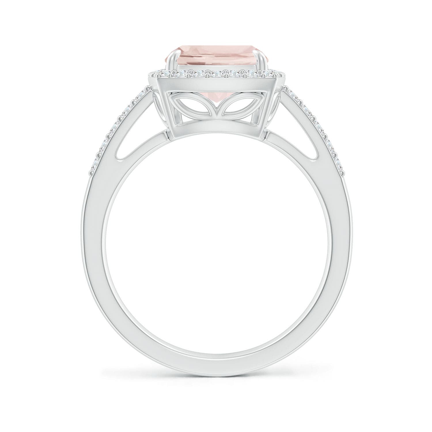 A - Morganite / 3.1 CT / 14 KT White Gold