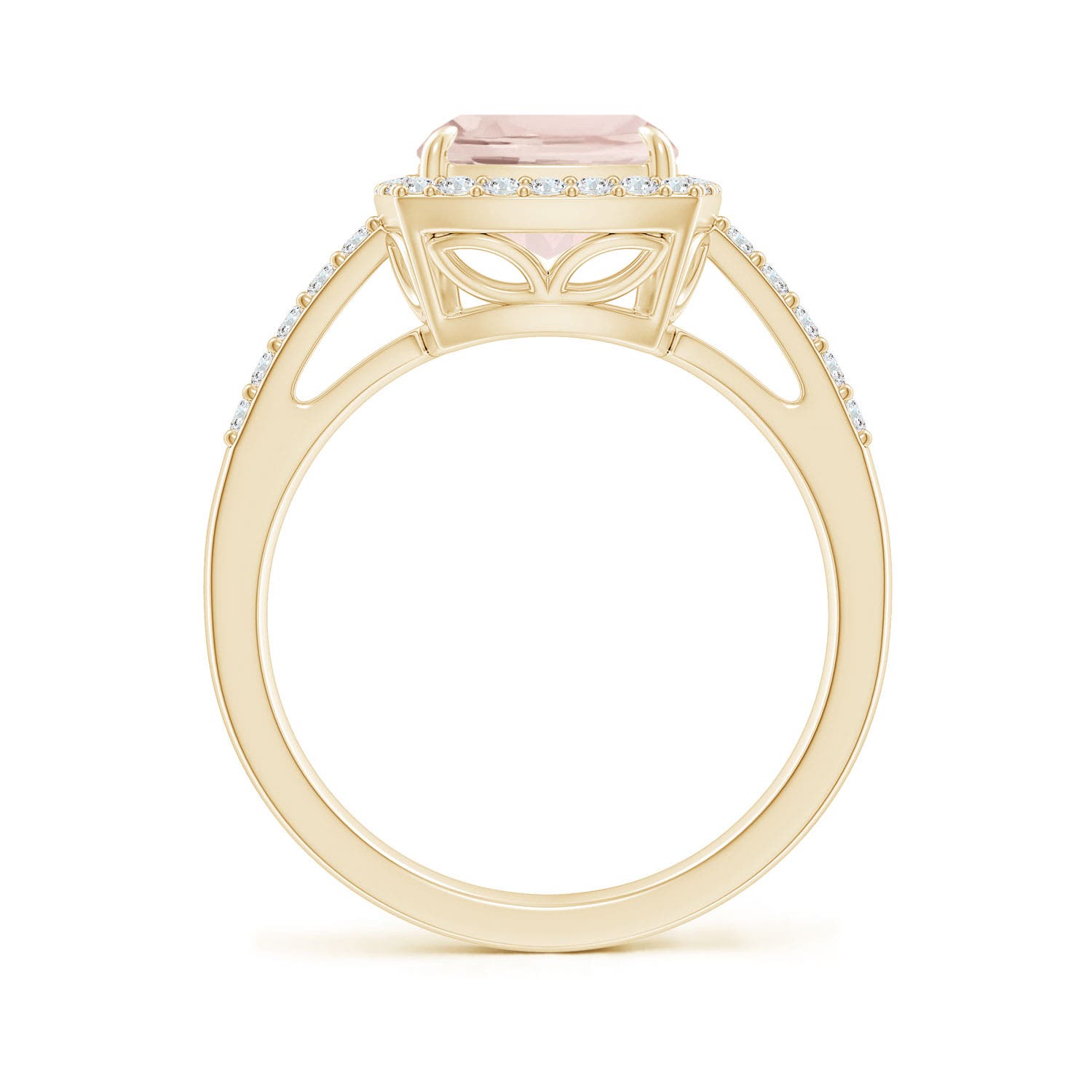 A - Morganite / 3.1 CT / 14 KT Yellow Gold