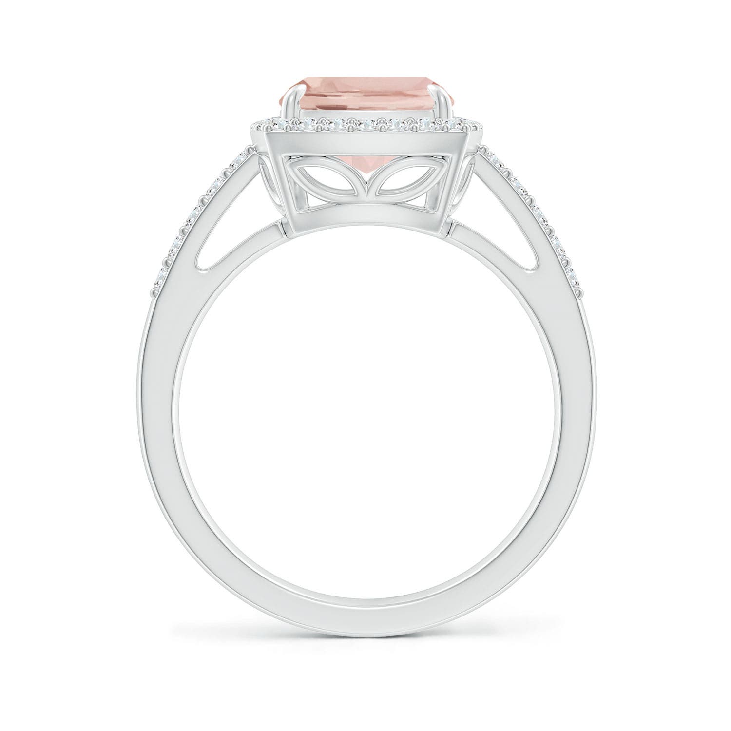 AA - Morganite / 3.1 CT / 14 KT White Gold