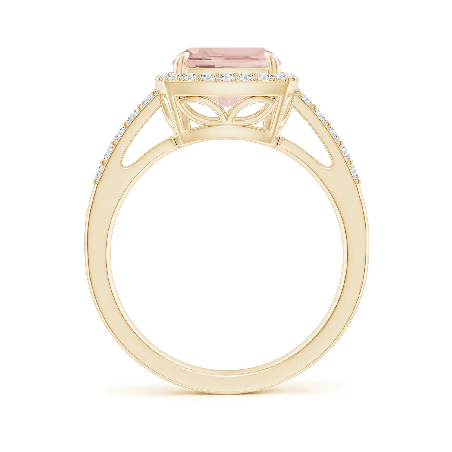 AA - Morganite / 3.1 CT / 14 KT Yellow Gold