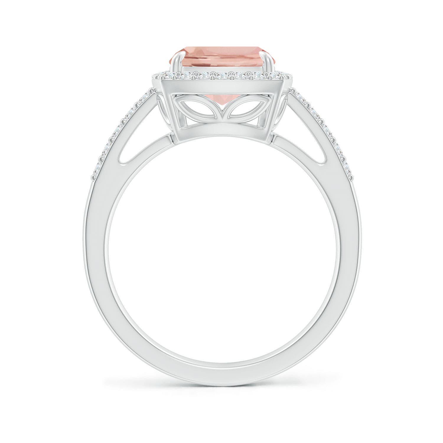 AAA - Morganite / 3.1 CT / 14 KT White Gold