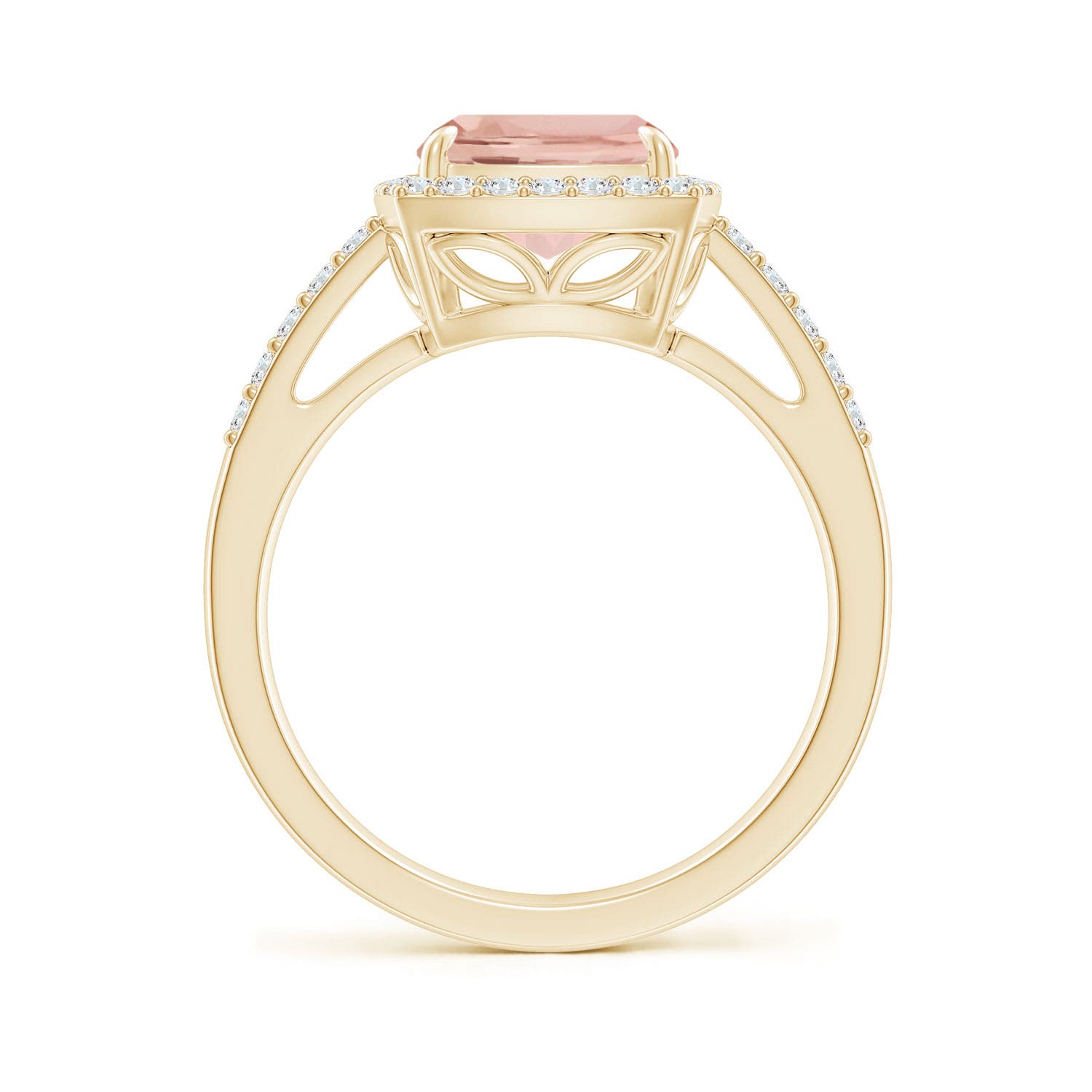 AAA - Morganite / 3.1 CT / 14 KT Yellow Gold