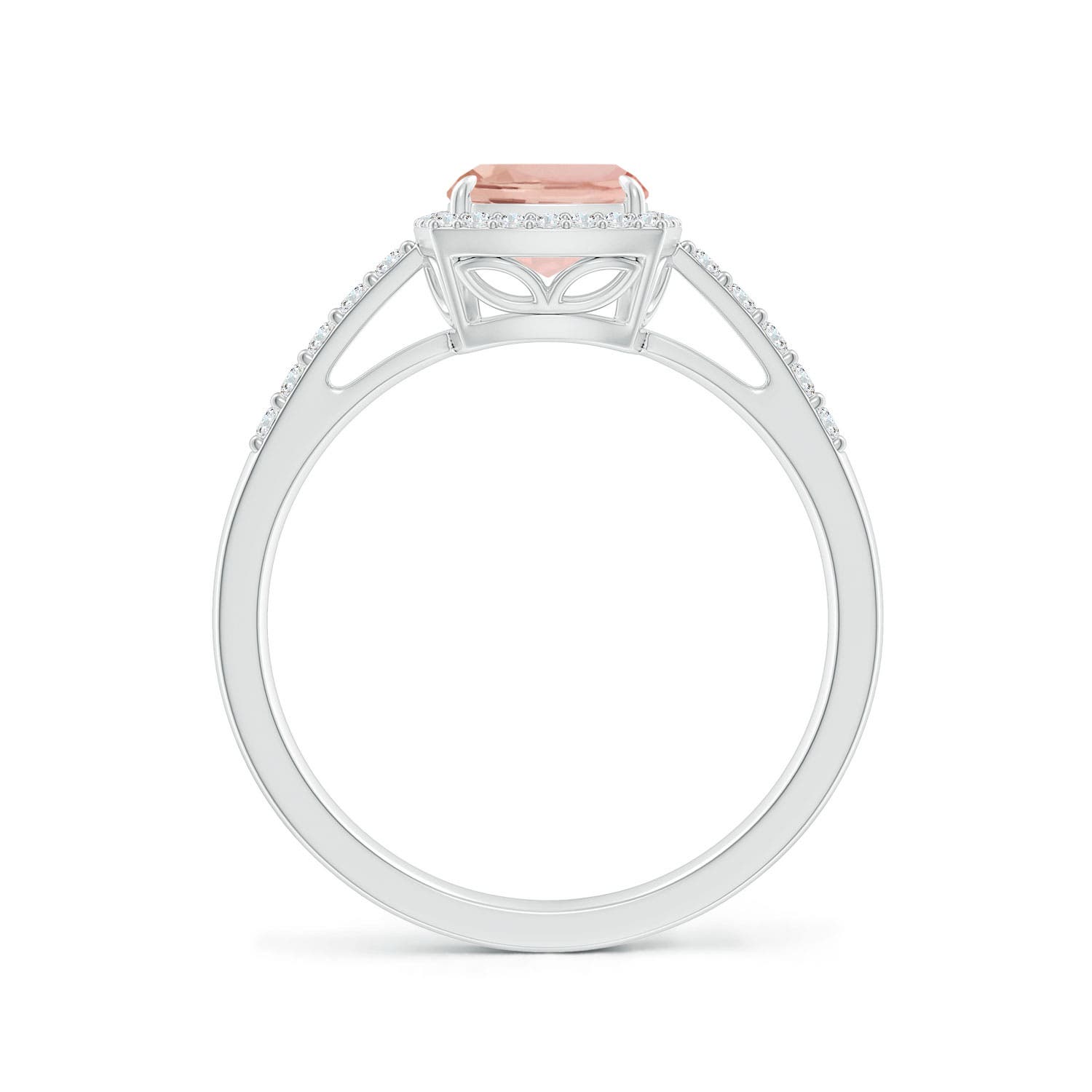 AAA - Morganite / 1.43 CT / 14 KT White Gold