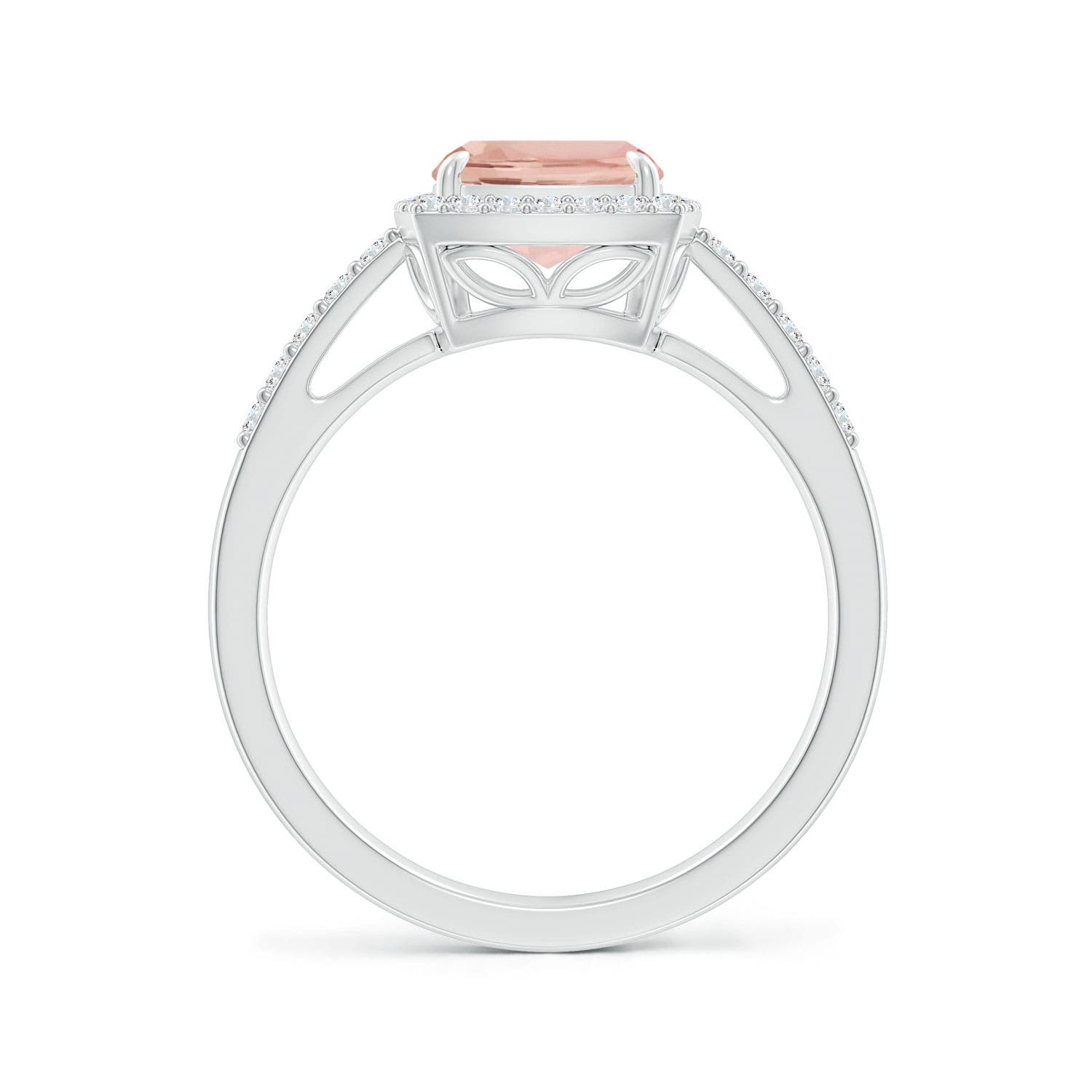 AAA - Morganite / 2.13 CT / 14 KT White Gold