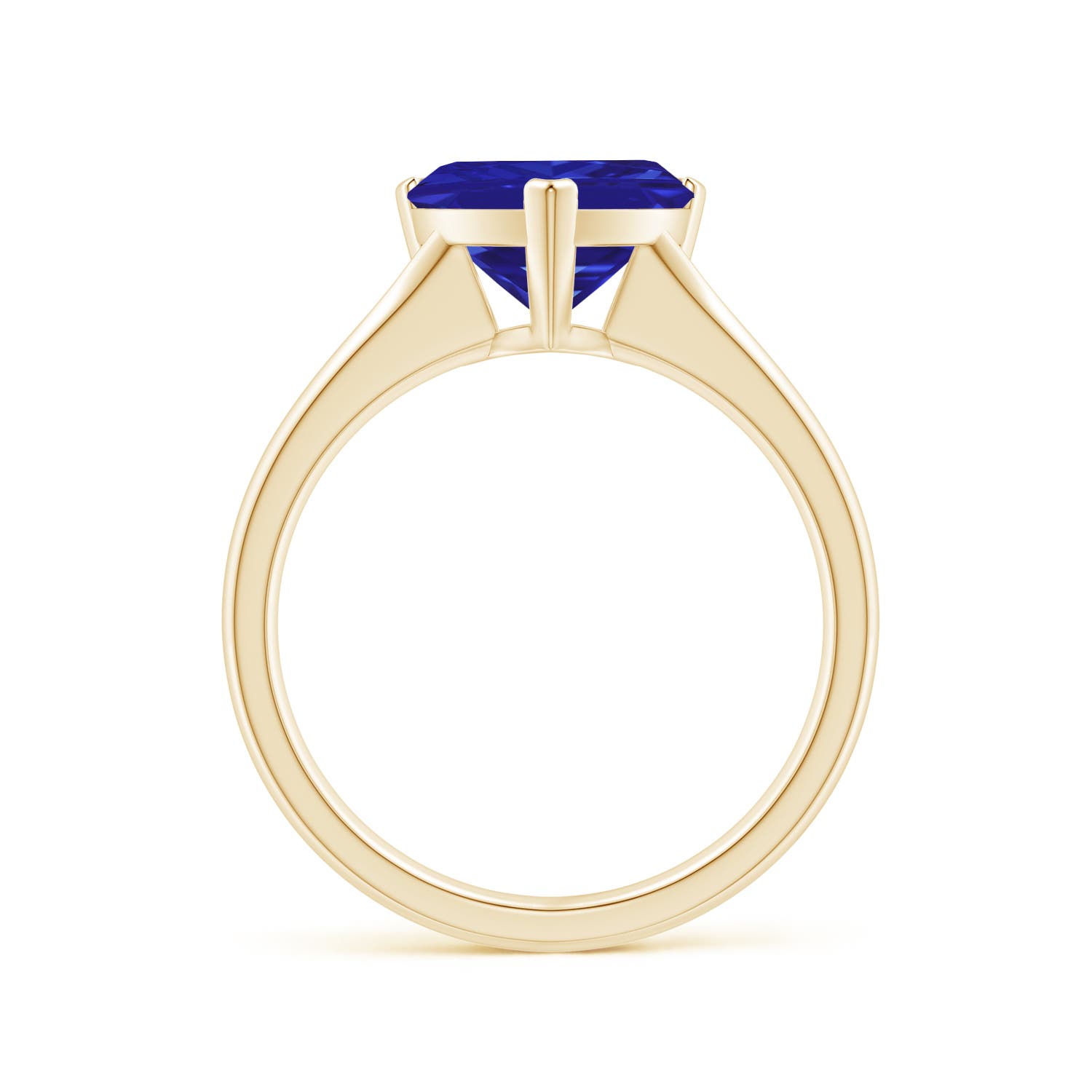 AAAA - Tanzanite / 2.45 CT / 14 KT Yellow Gold