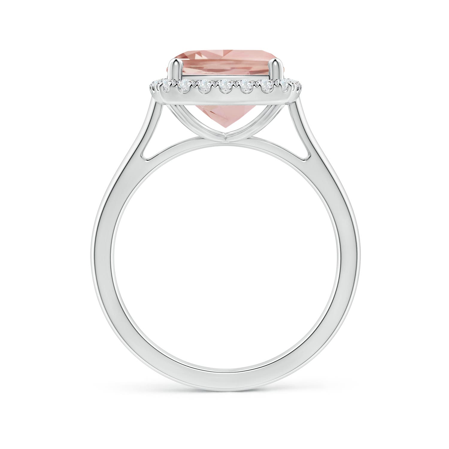 AAA - Morganite / 2.96 CT / 14 KT White Gold