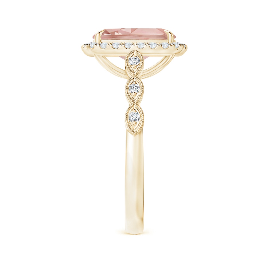 10x8mm AAA Cushion Morganite Halo Ring with Marquise Motifs in Yellow Gold side 2