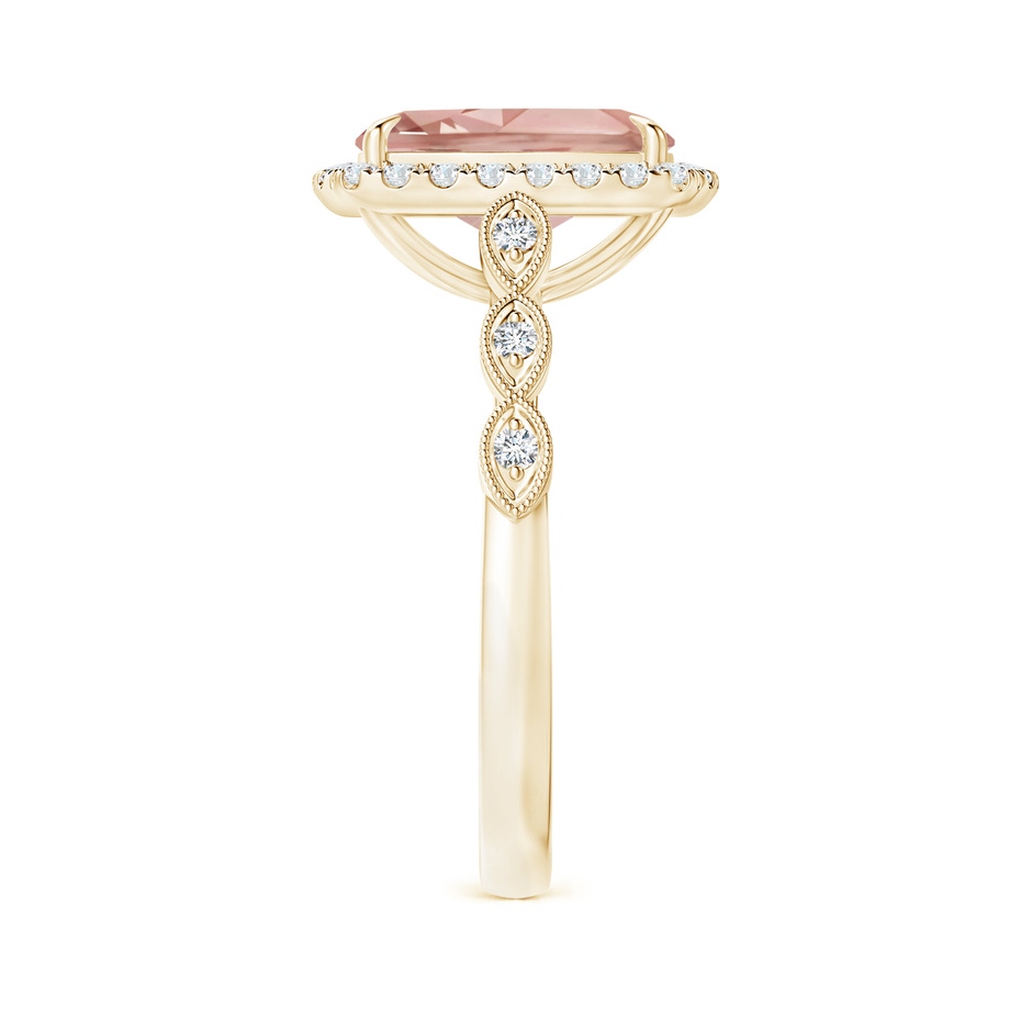 10x8mm AAAA Cushion Morganite Halo Ring with Marquise Motifs in Yellow Gold side 2