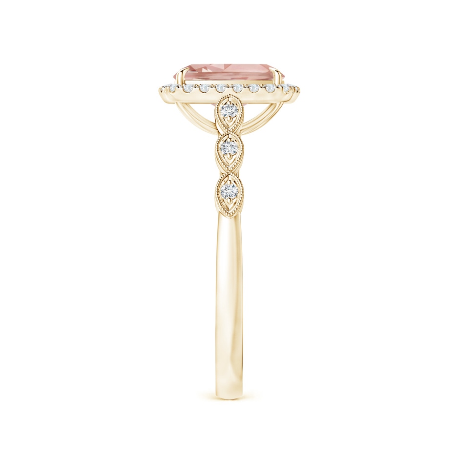 8x6mm AAA Cushion Morganite Halo Ring with Marquise Motifs in Yellow Gold side 2