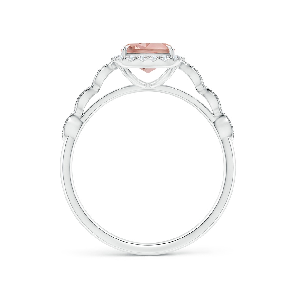 8x6mm AAAA Cushion Morganite Halo Ring with Marquise Motifs in P950 Platinum side 1