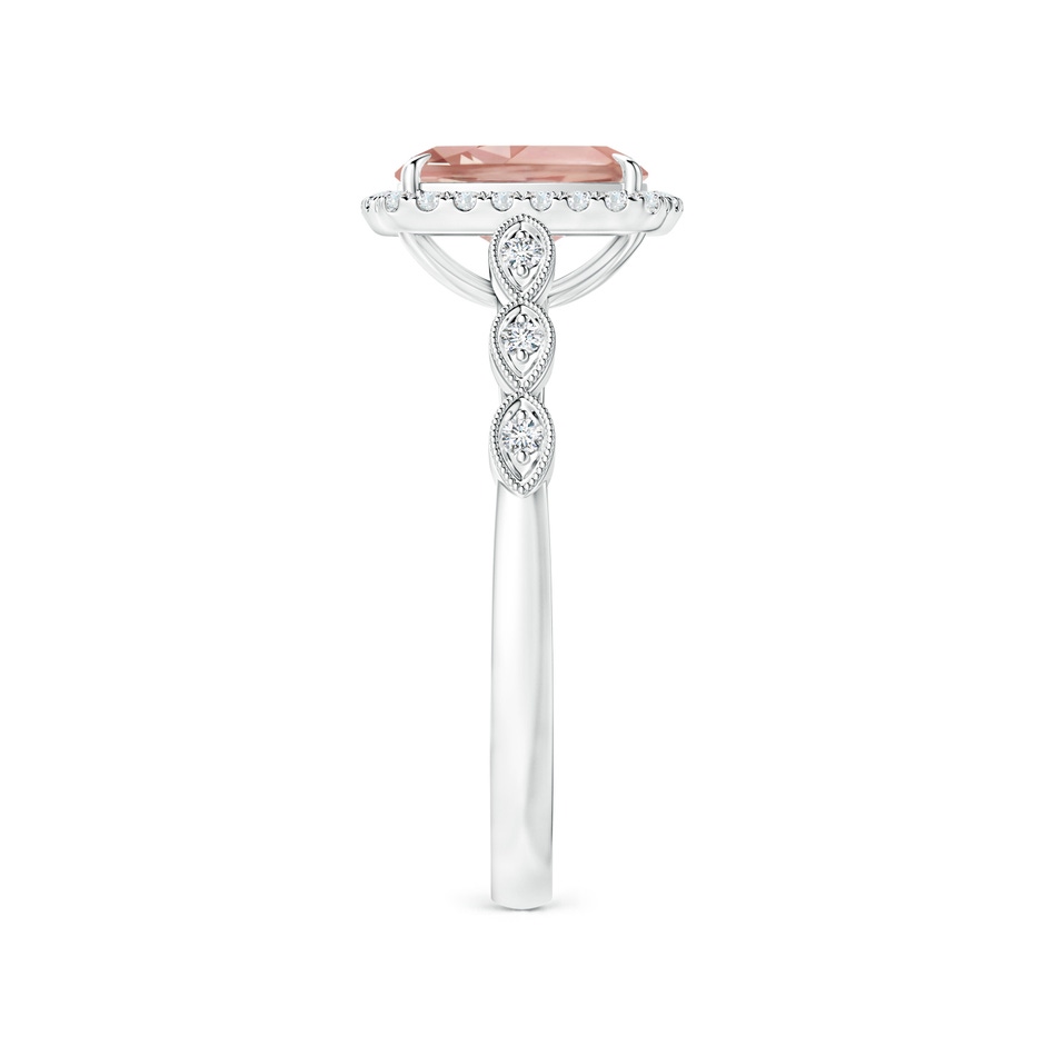 8x6mm AAAA Cushion Morganite Halo Ring with Marquise Motifs in P950 Platinum side 2