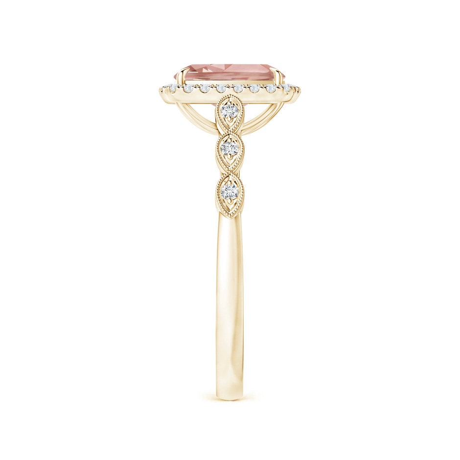 8x6mm AAAA Cushion Morganite Halo Ring with Marquise Motifs in Yellow Gold side 2