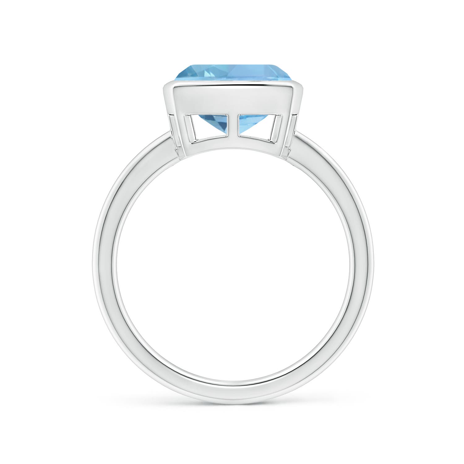 AAAA - Aquamarine / 2.7 CT / 14 KT White Gold