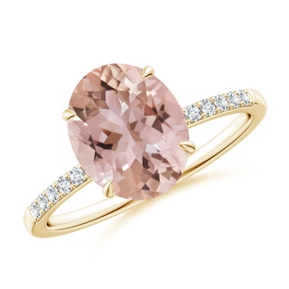 Oval AAA Morganite