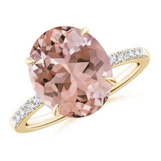 Oval AAAA Morganite