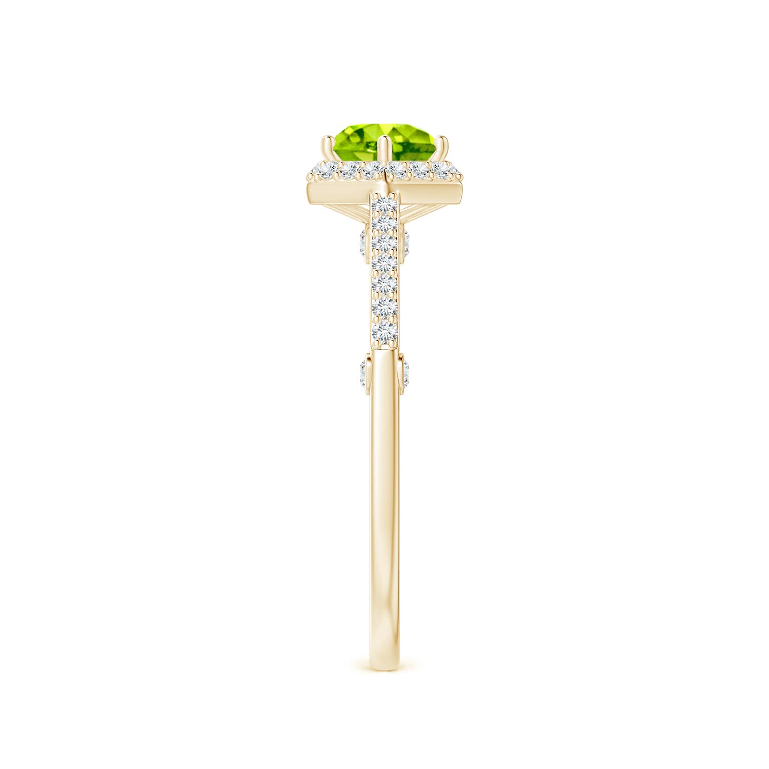 AAA - Peridot / 1.23 CT / 14 KT Yellow Gold