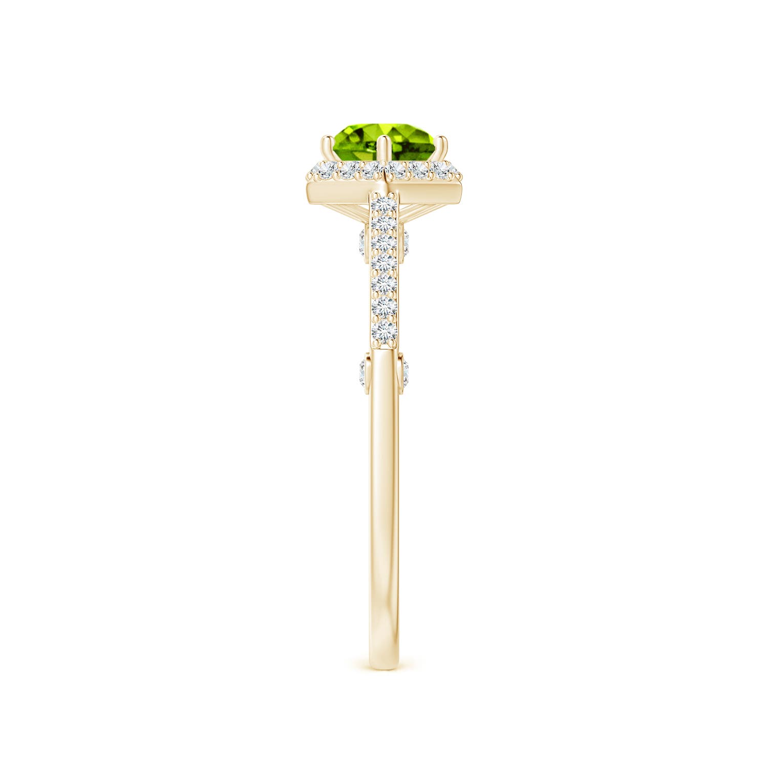 AAAA - Peridot / 1.23 CT / 14 KT Yellow Gold