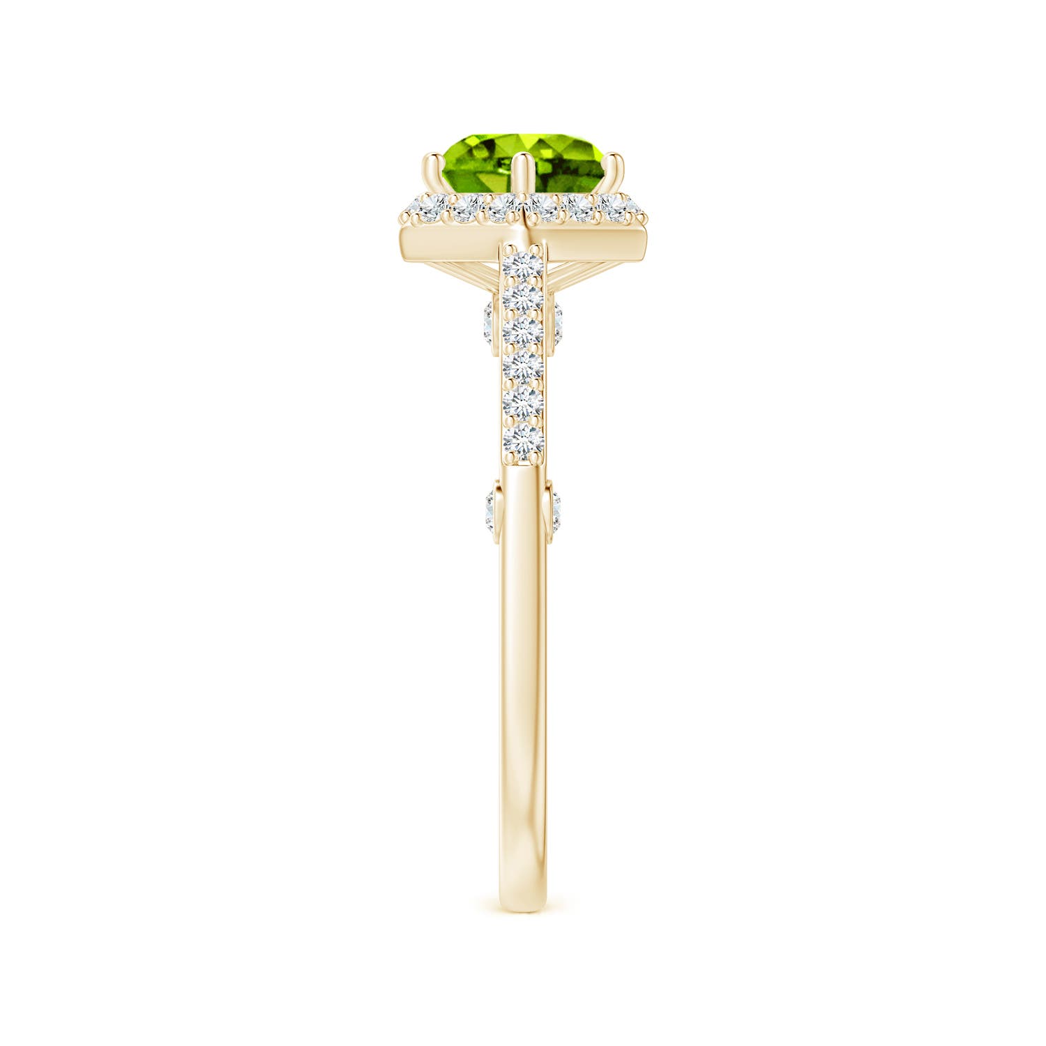 AAAA - Peridot / 1.77 CT / 14 KT Yellow Gold