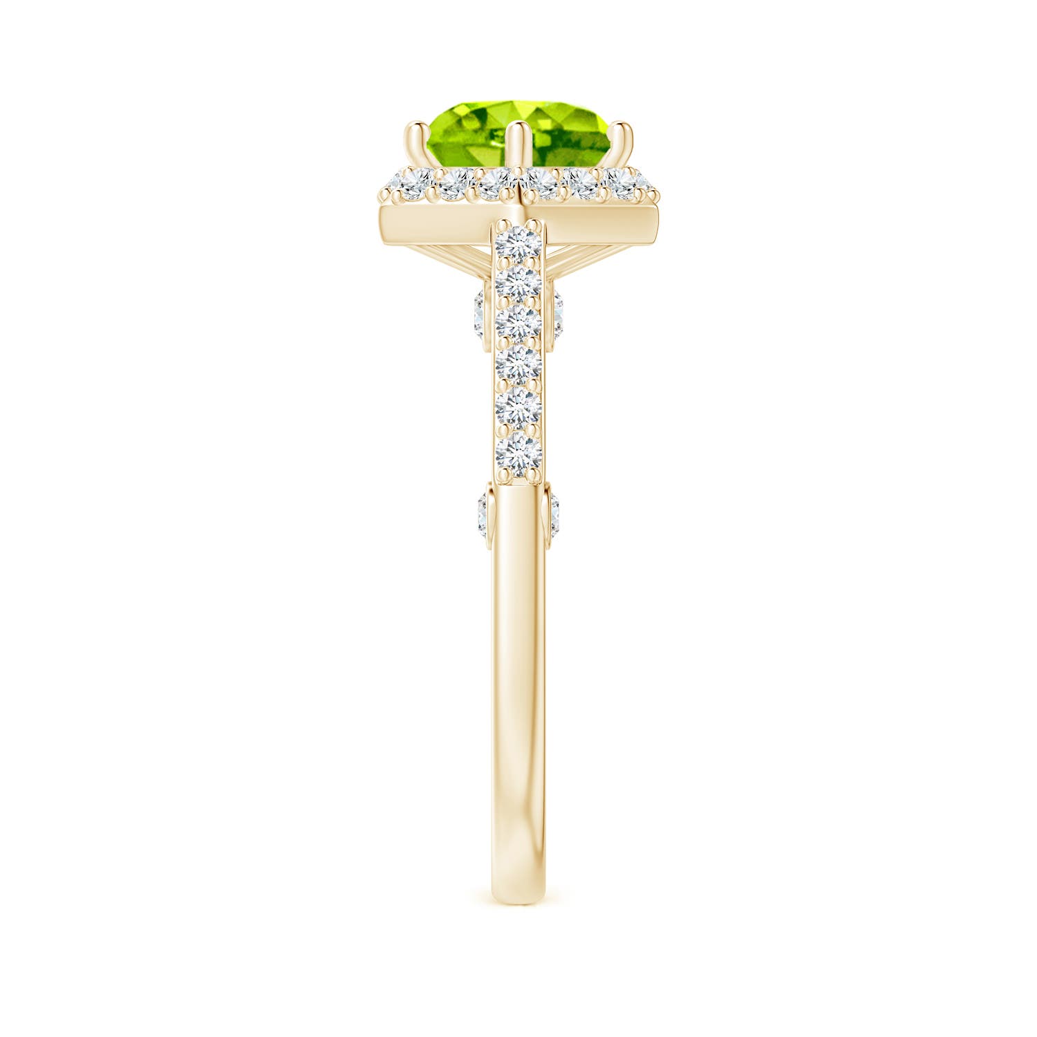 AAA - Peridot / 2.44 CT / 14 KT Yellow Gold