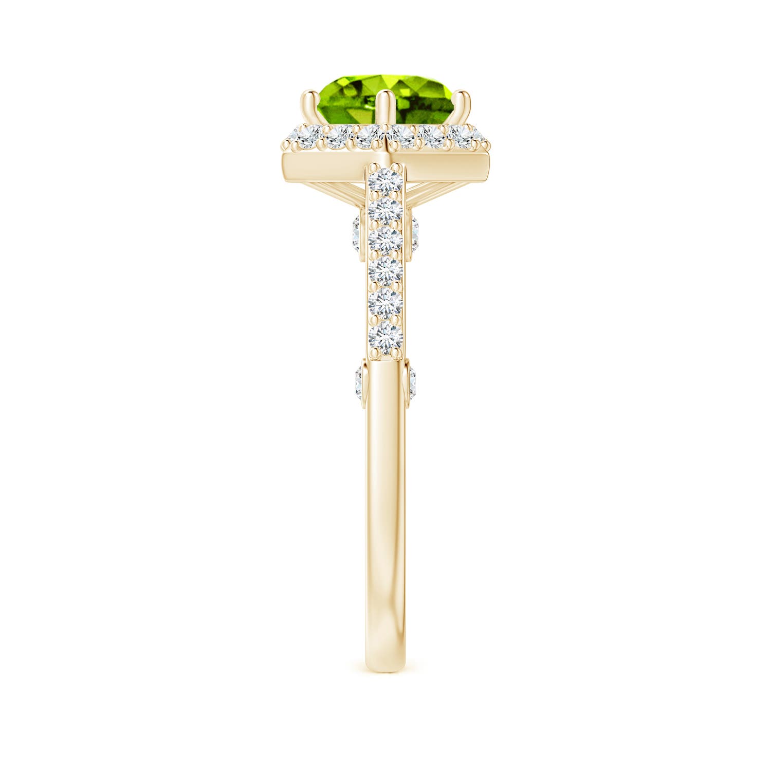 AAAA - Peridot / 2.44 CT / 14 KT Yellow Gold