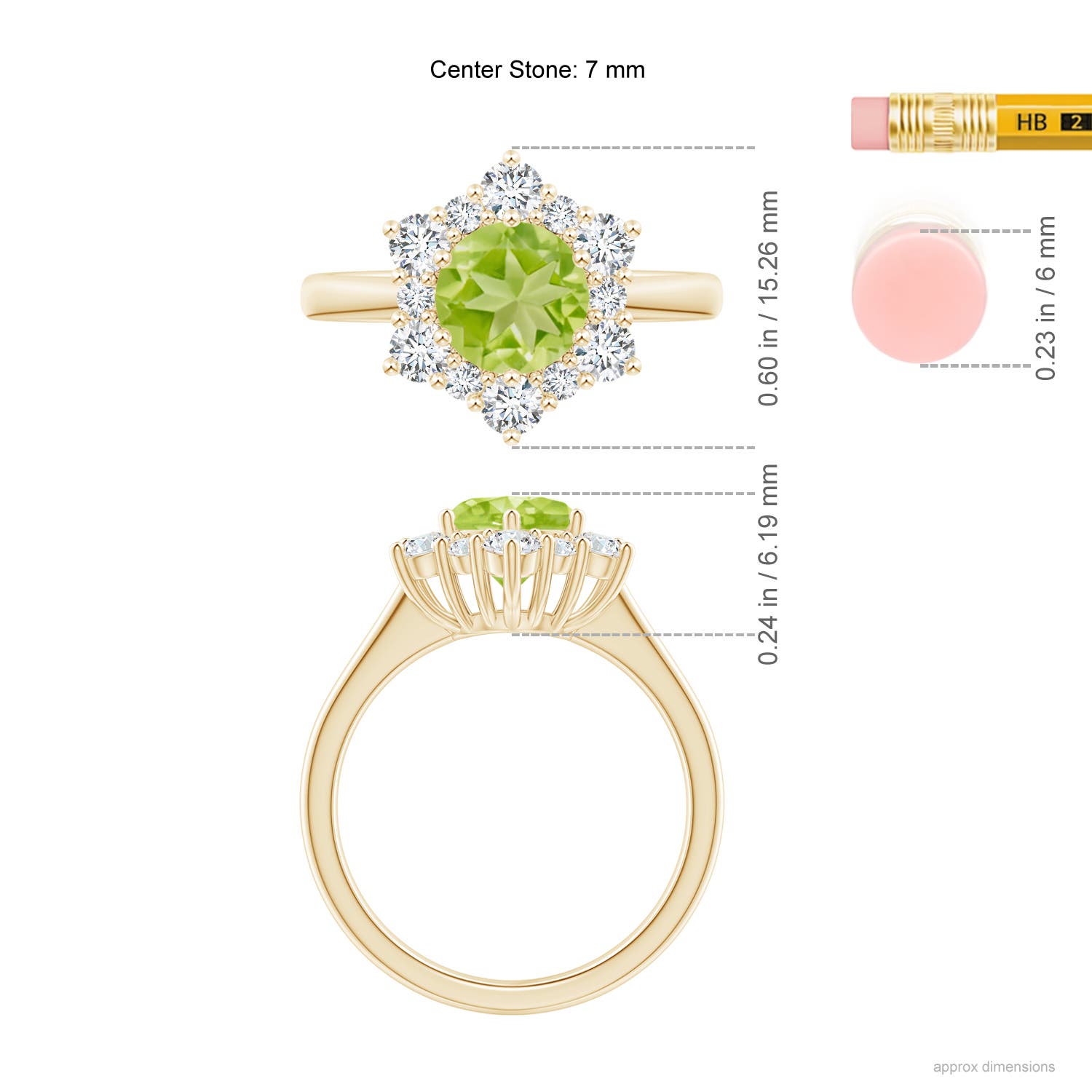 AA - Peridot / 2.2 CT / 14 KT Yellow Gold