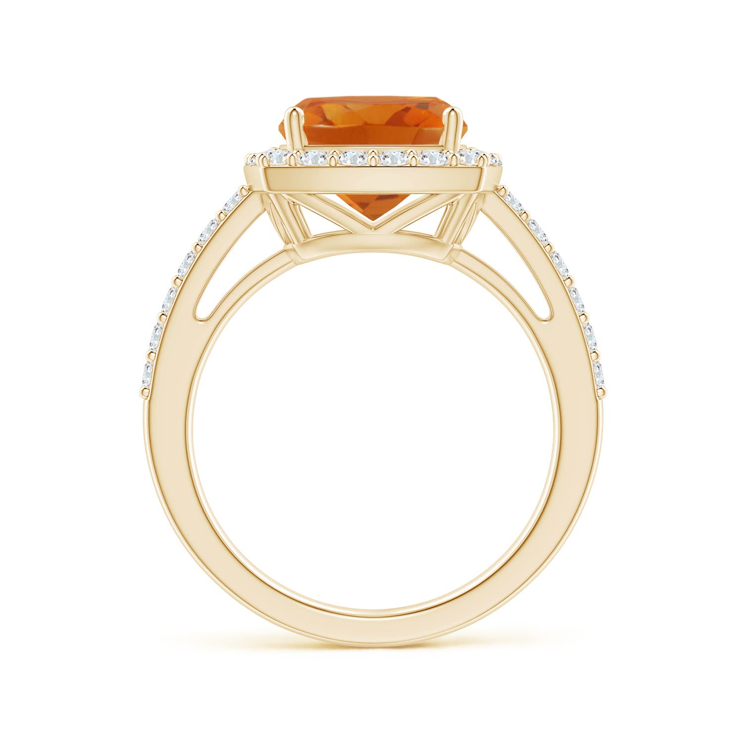 AAA - Citrine / 3.13 CT / 14 KT Yellow Gold