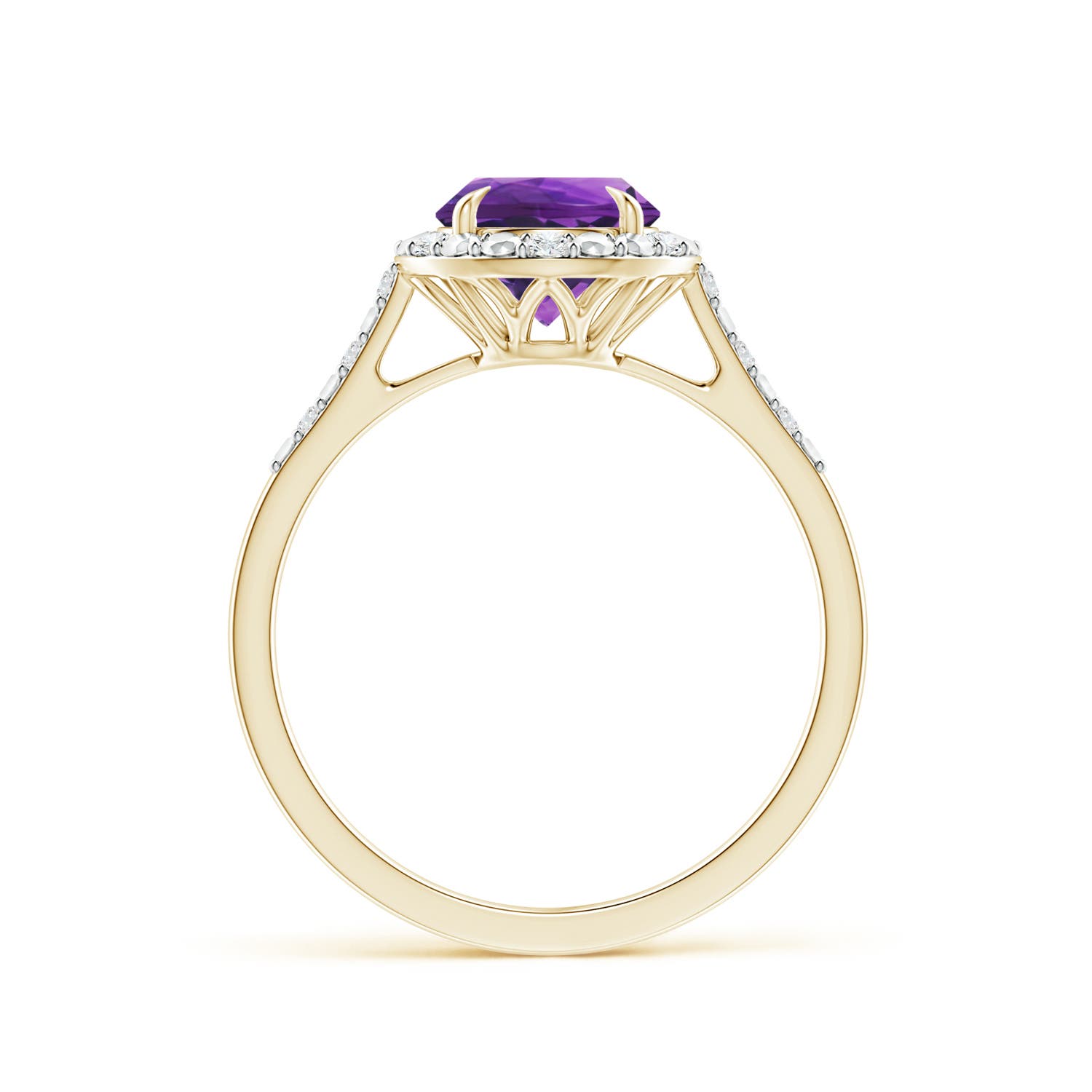 AAAA - Amethyst / 1.23 CT / 14 KT Yellow Gold