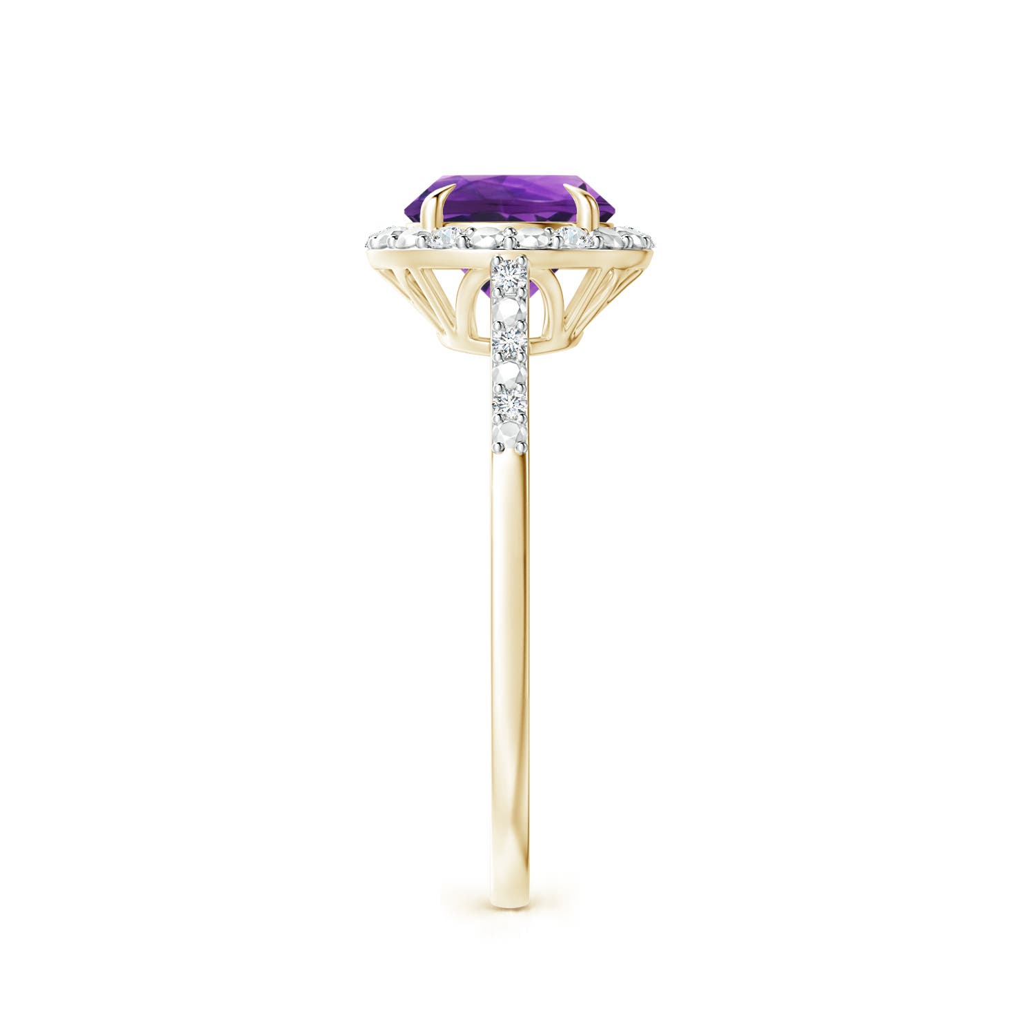 AAAA - Amethyst / 1.23 CT / 14 KT Yellow Gold