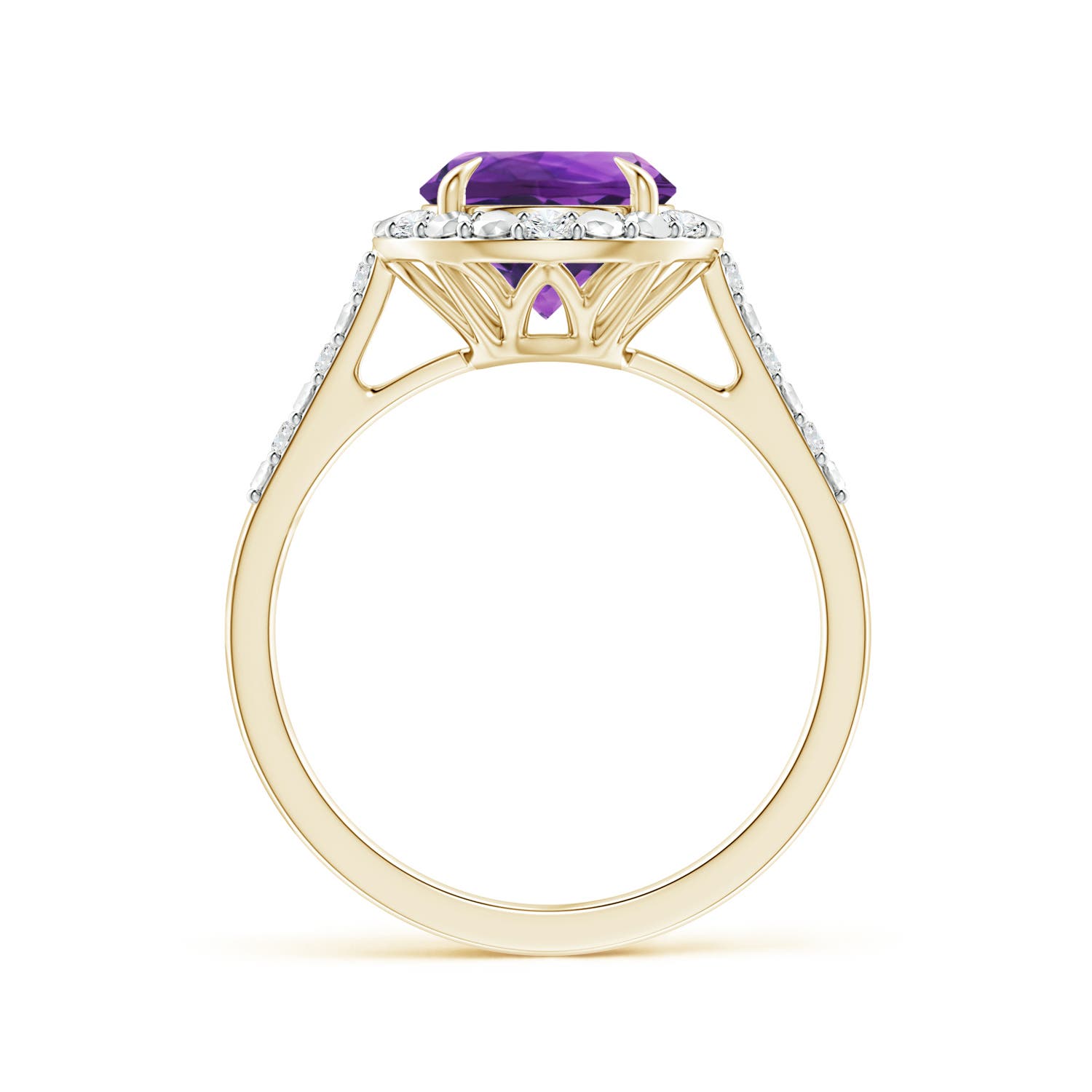 AAAA - Amethyst / 1.82 CT / 14 KT Yellow Gold