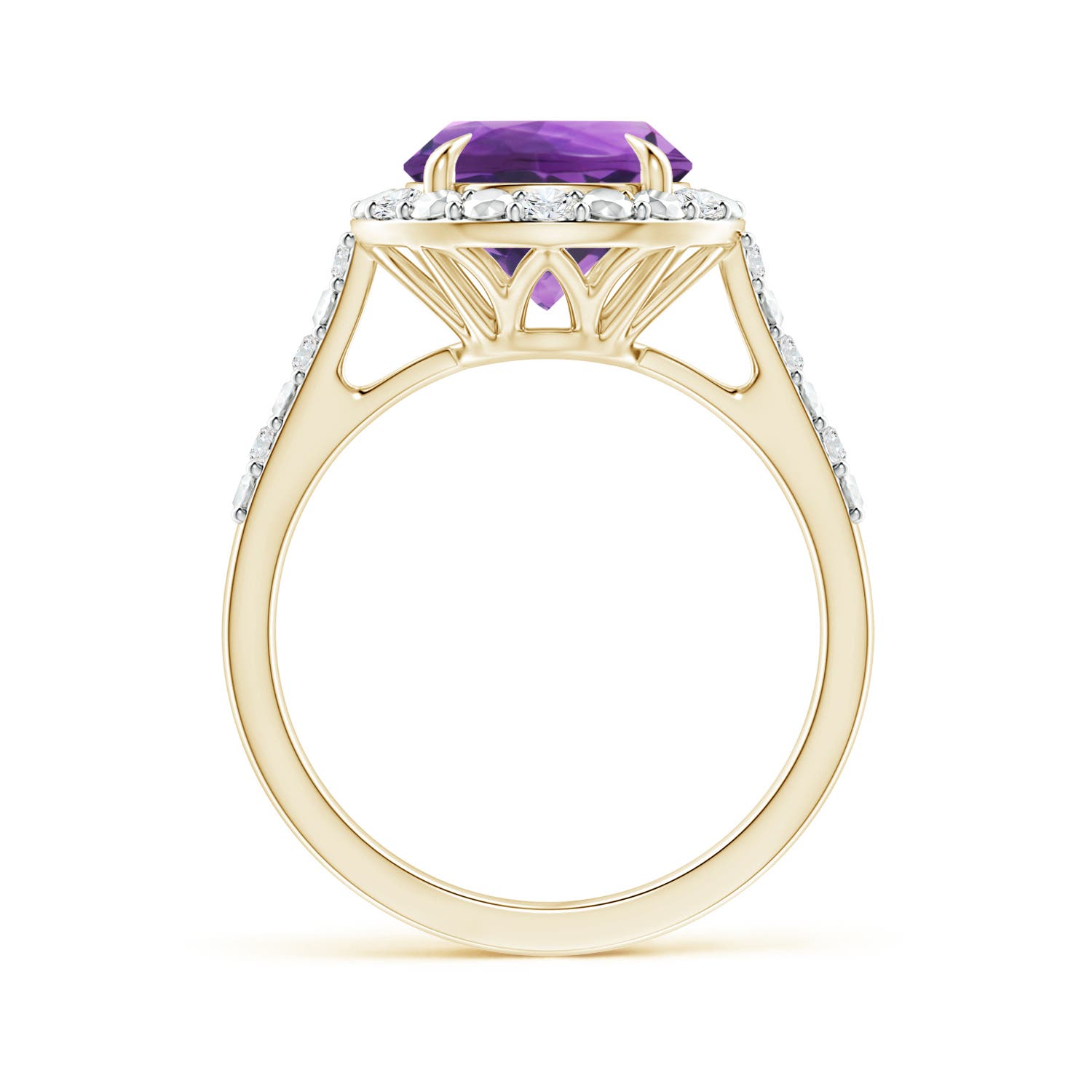 AAA - Amethyst / 2.61 CT / 14 KT Yellow Gold