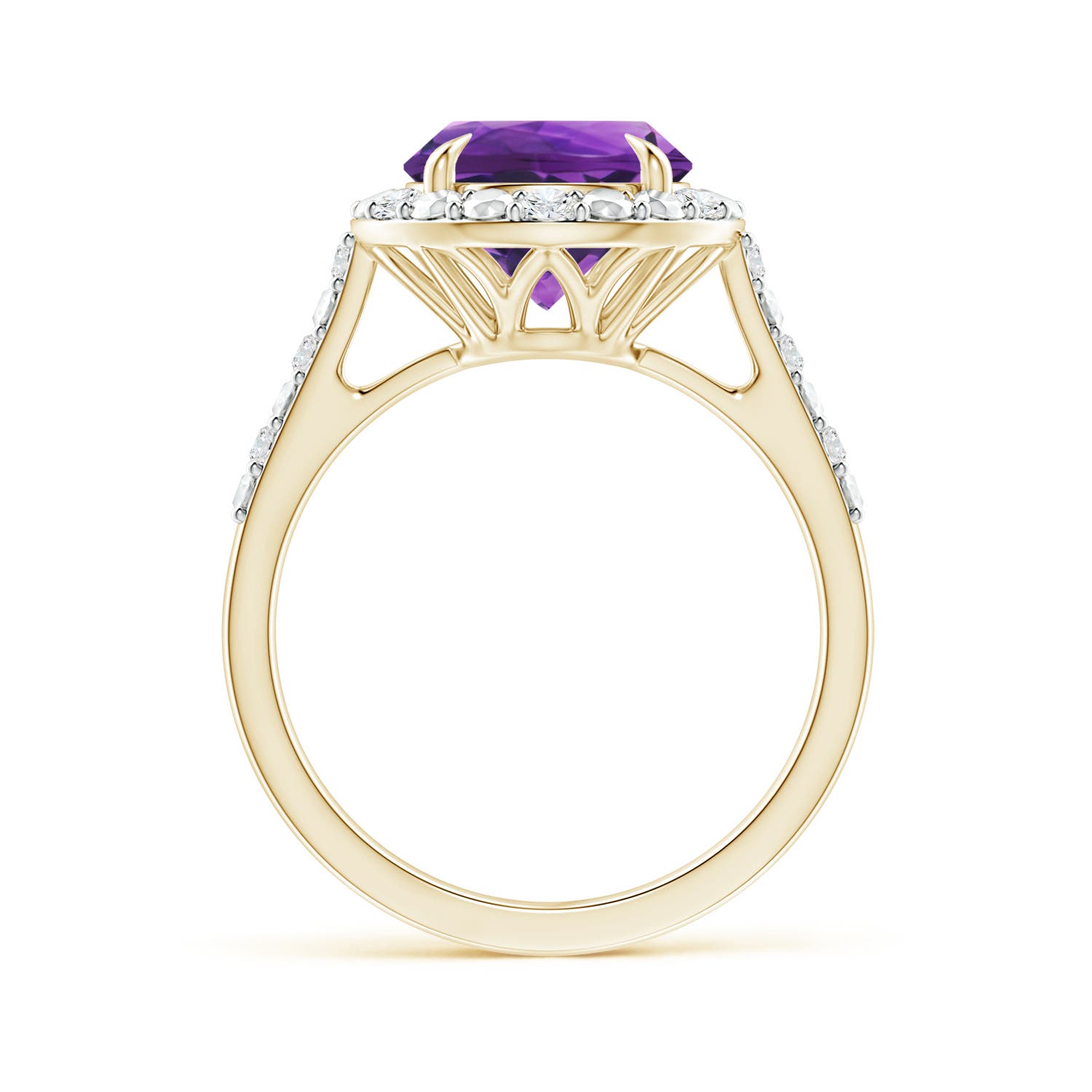 AAAA - Amethyst / 2.61 CT / 14 KT Yellow Gold