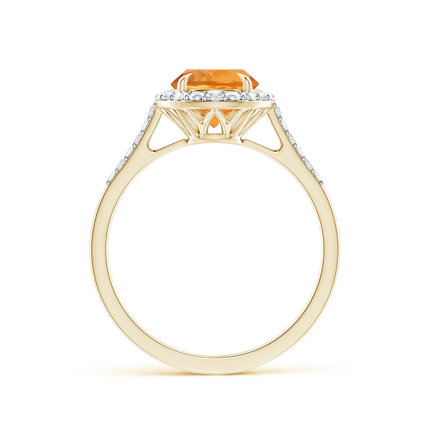 AAA - Citrine / 1.33 CT / 14 KT Yellow Gold