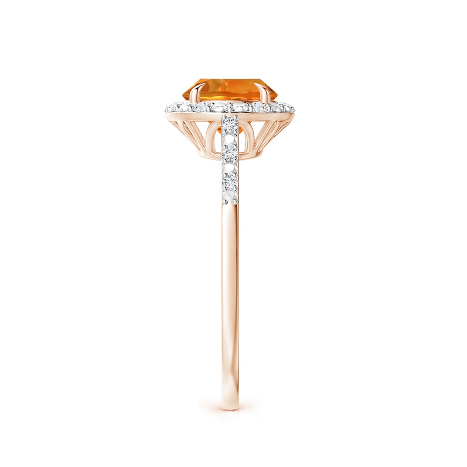 7mm AAAA Round Citrine Engagement Ring with Diamond Halo in Rose Gold side 2