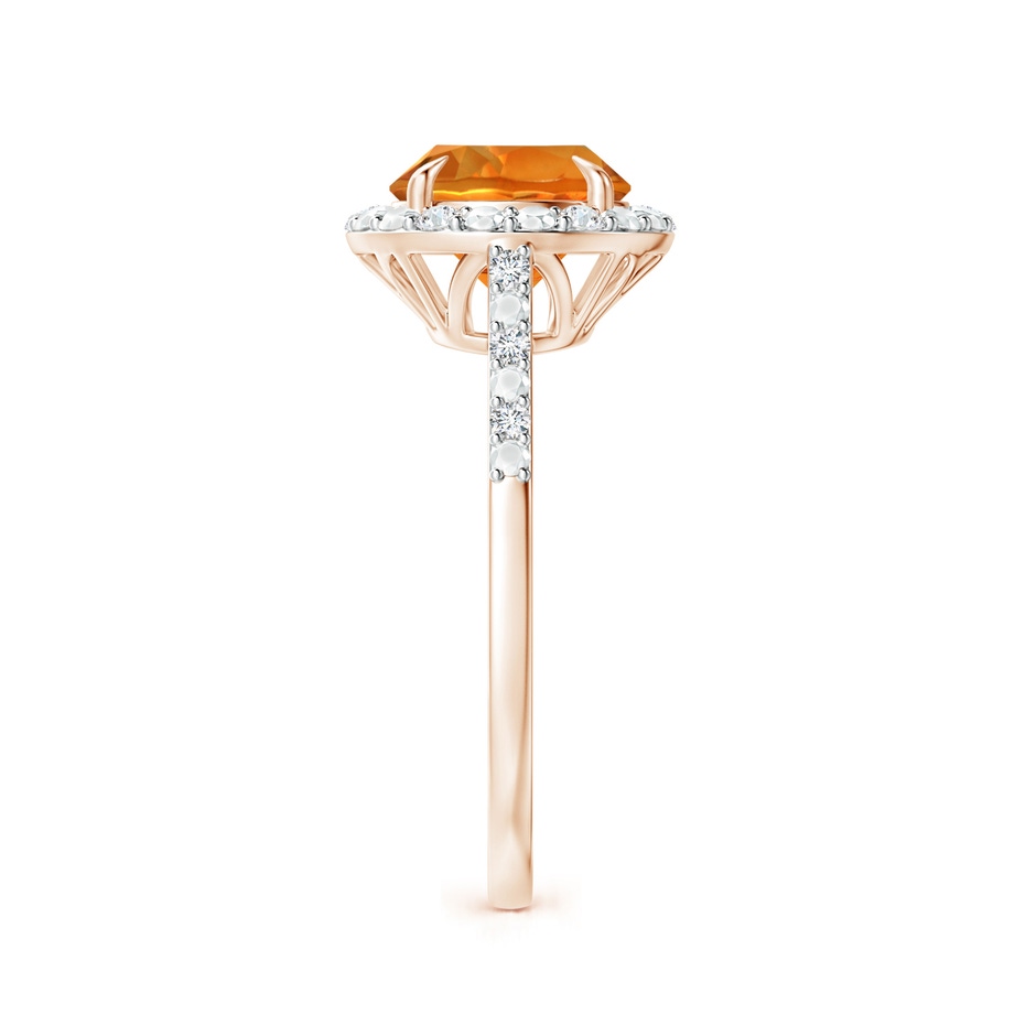 8mm AAAA Round Citrine Engagement Ring with Diamond Halo in Rose Gold side 2