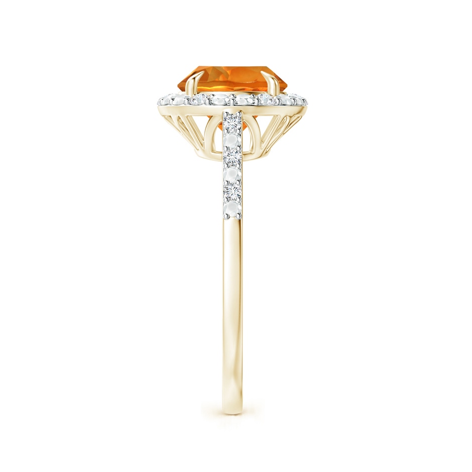 8mm AAAA Round Citrine Engagement Ring with Diamond Halo in Yellow Gold side 2