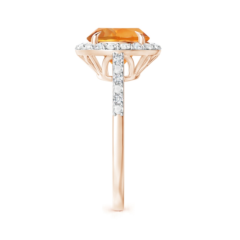 9mm AAA Round Citrine Engagement Ring with Diamond Halo in Rose Gold side 2