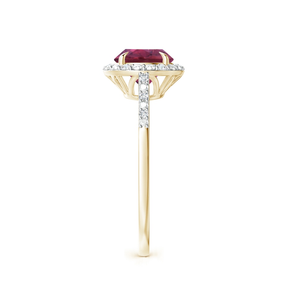 7mm AAAA Round Pink Tourmaline Engagement Ring with Diamond Halo in Yellow Gold side 2