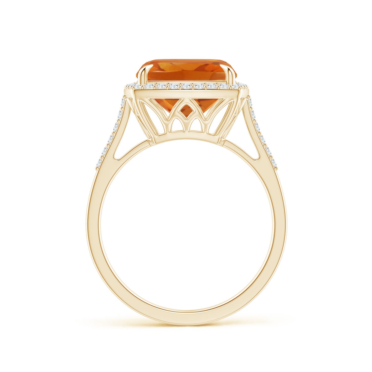 AAA - Citrine / 3.74 CT / 14 KT Yellow Gold