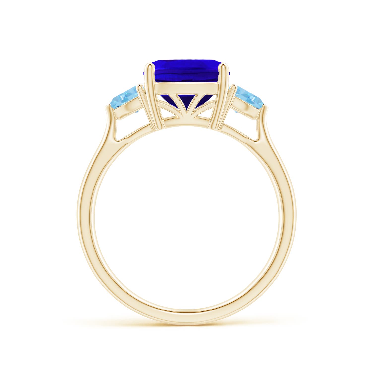 AAAA - Tanzanite / 2.55 CT / 14 KT Yellow Gold