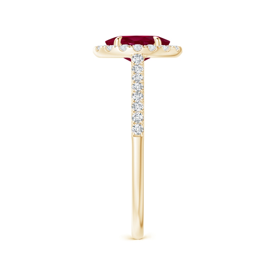 7x5mm A Oval Ruby Halo Engagement Ring in Yellow Gold side 2