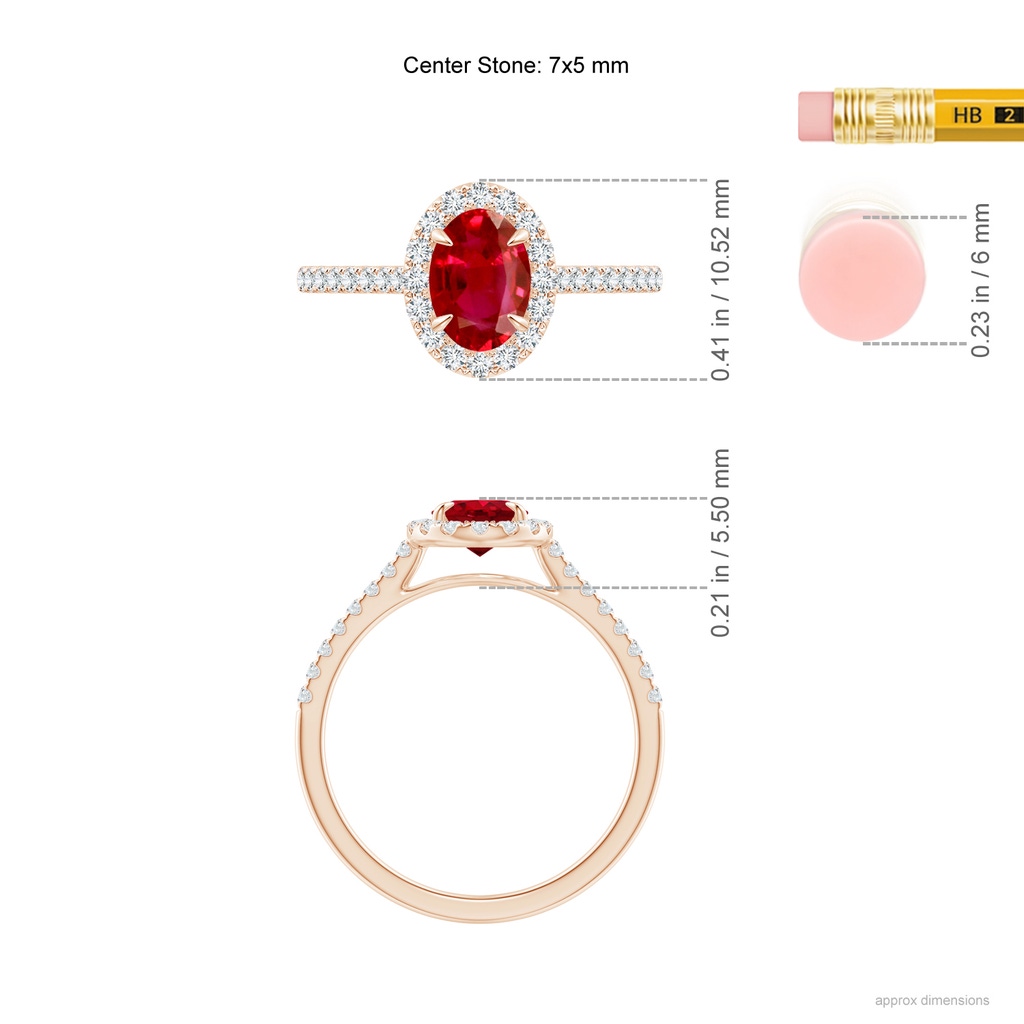 7x5mm AAA Oval Ruby Halo Engagement Ring in Rose Gold Ruler